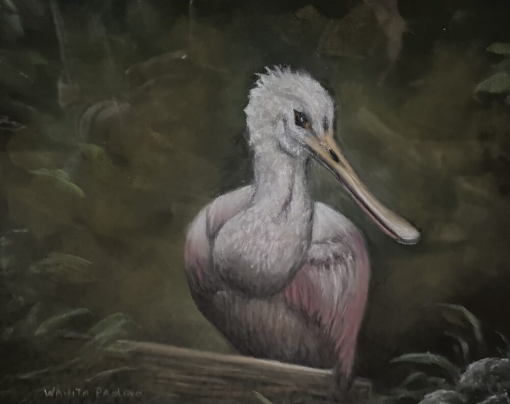 Wanita Paolino "Spoonbill"