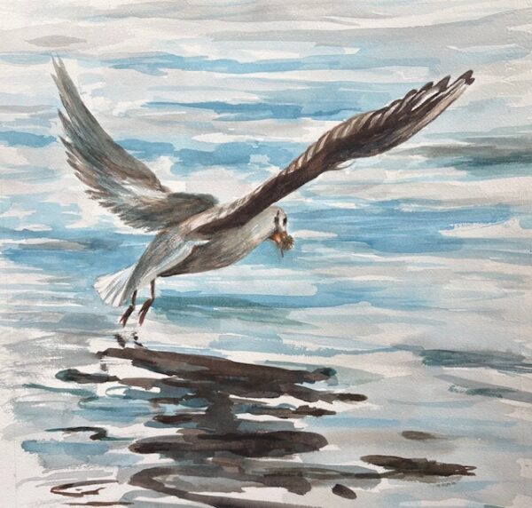 Jane Thorn "Gulping Gull"