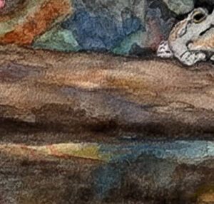 Denise Yordy "Wee Tree Frog"