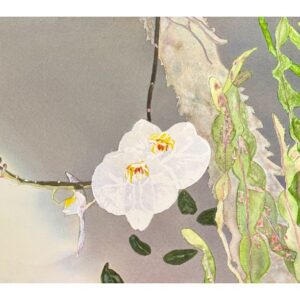 Peter Sterling Turner "Luminescence"