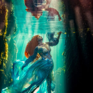 Erin Walsh "Reflections of Blue"