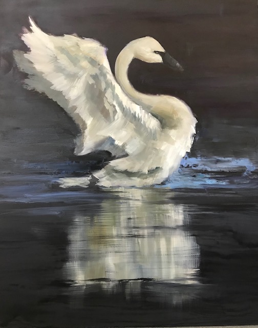 Swan Reflections by Lorraine Hynes, Oil