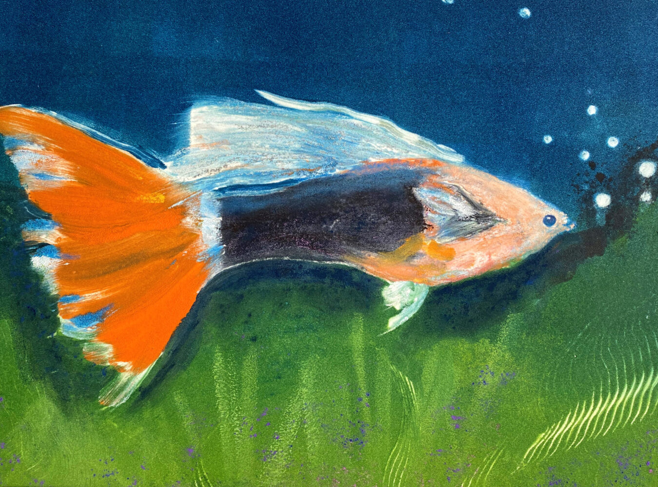 Guppy by Claire Marschak Monotype _ Water Soluble Oil
