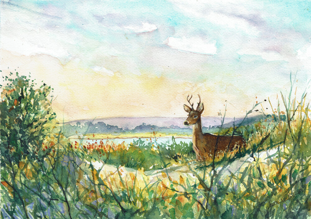 Susan Herbst "Sunset Strider"
