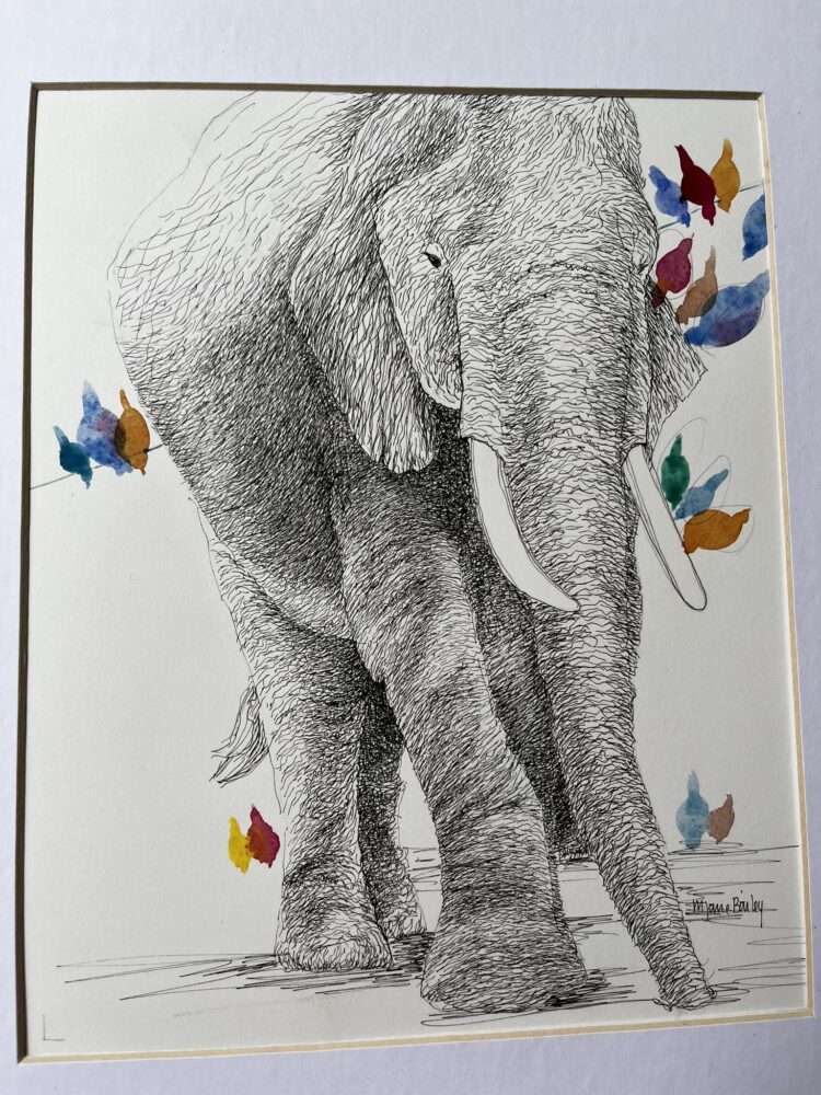 Jane Bailey "Elephant With Birds"