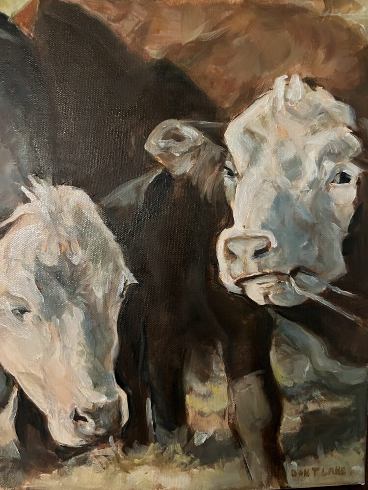 Daniel Lake "Butterfly Farm Cows"