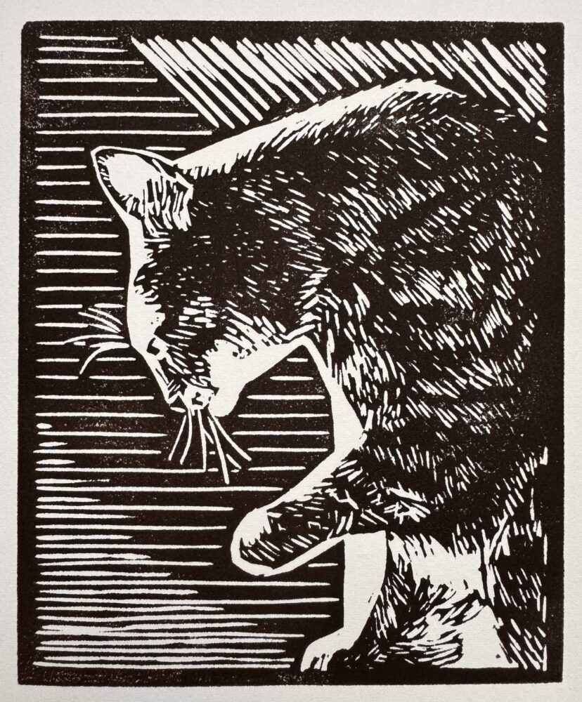 Catherine Lebovitz "Acadia"