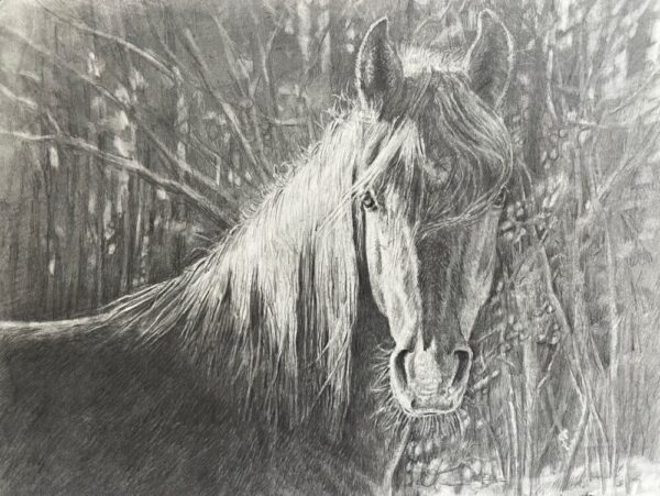 Betsey MacDonald "Lionheart In Winter"