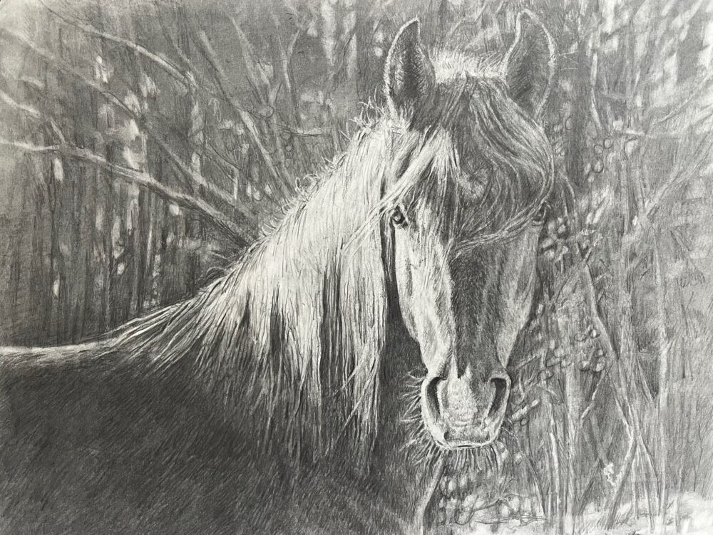 Betsey MacDonald "Lionheart In Winter"