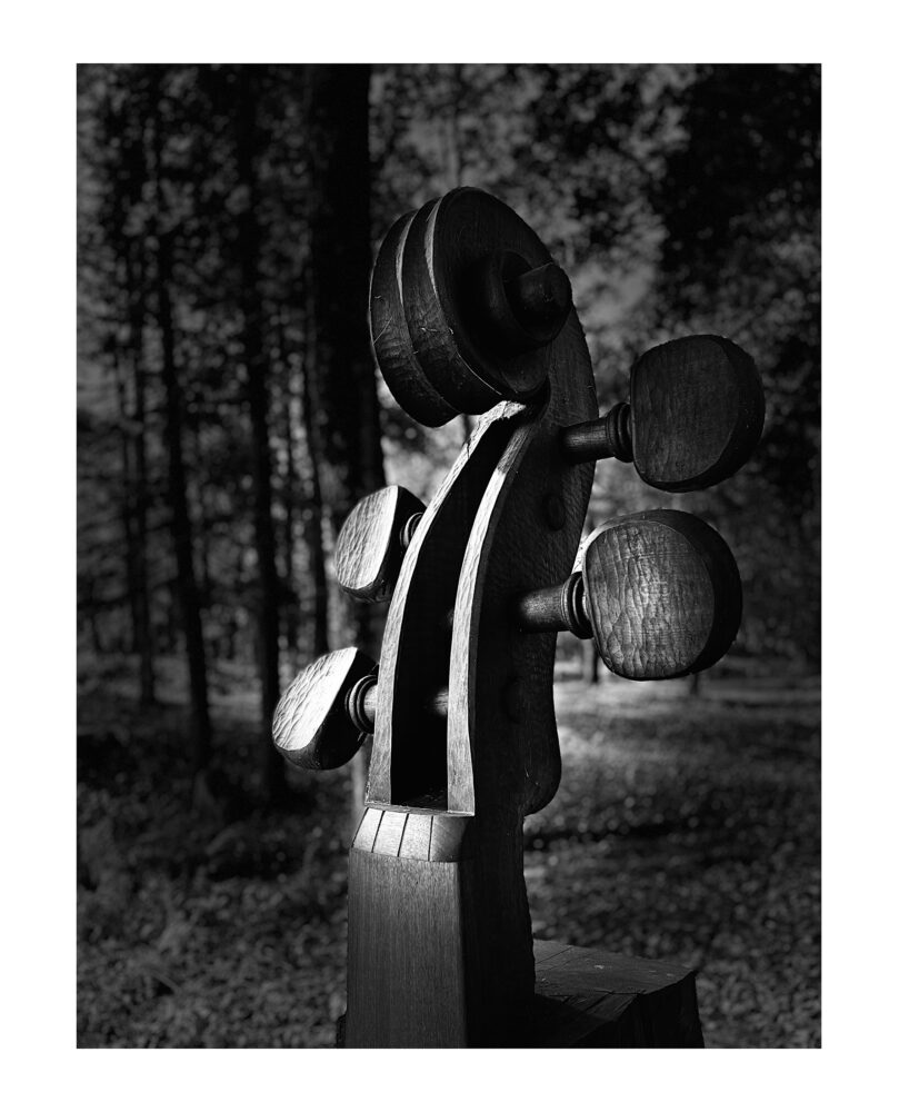 Carol Beatrice "Wooded Symphony"