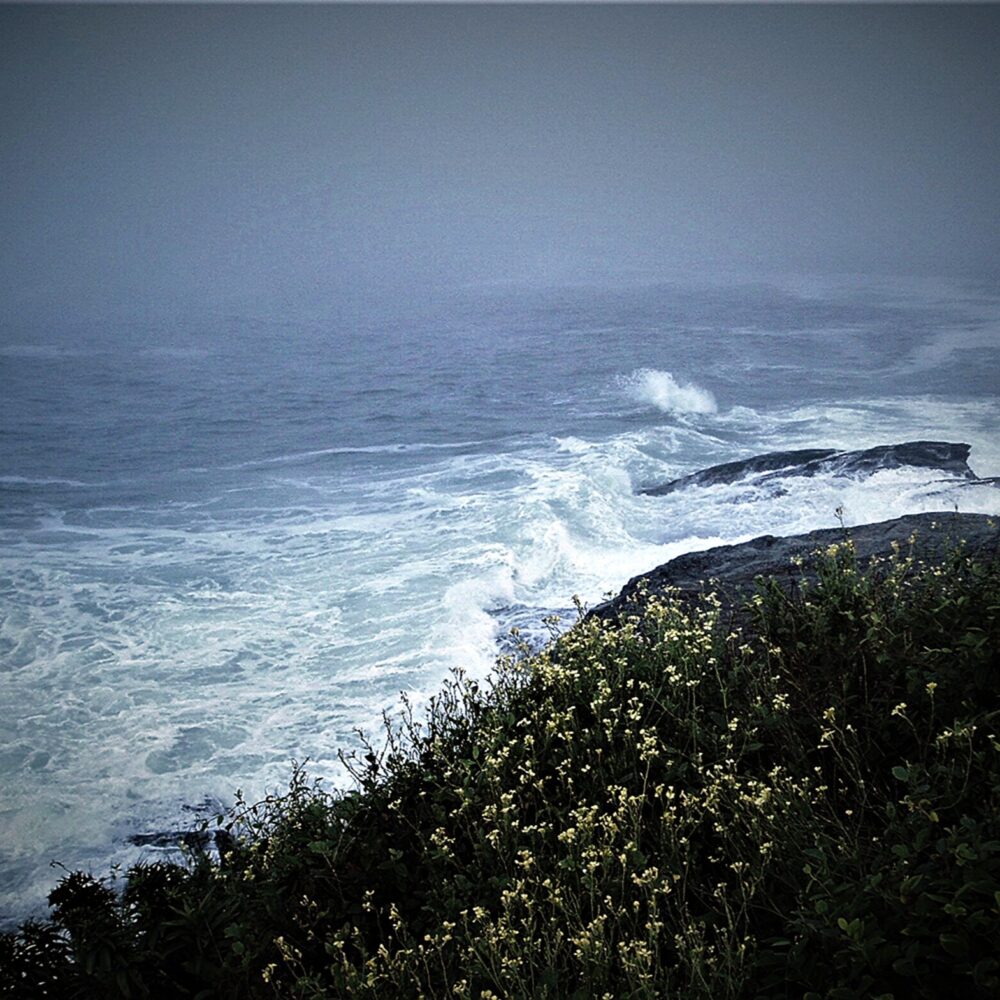 Robert Bendick "Storm and Wildflowers Beavertail Point"