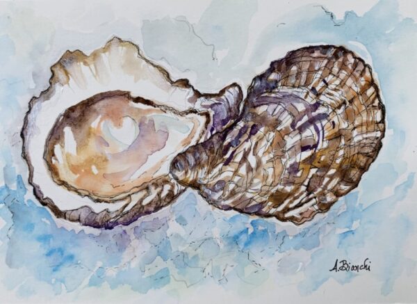 Ann Bianchi  "Rhode Island Oysters"