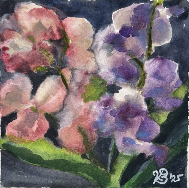 Victoria Bishop "Midnight"