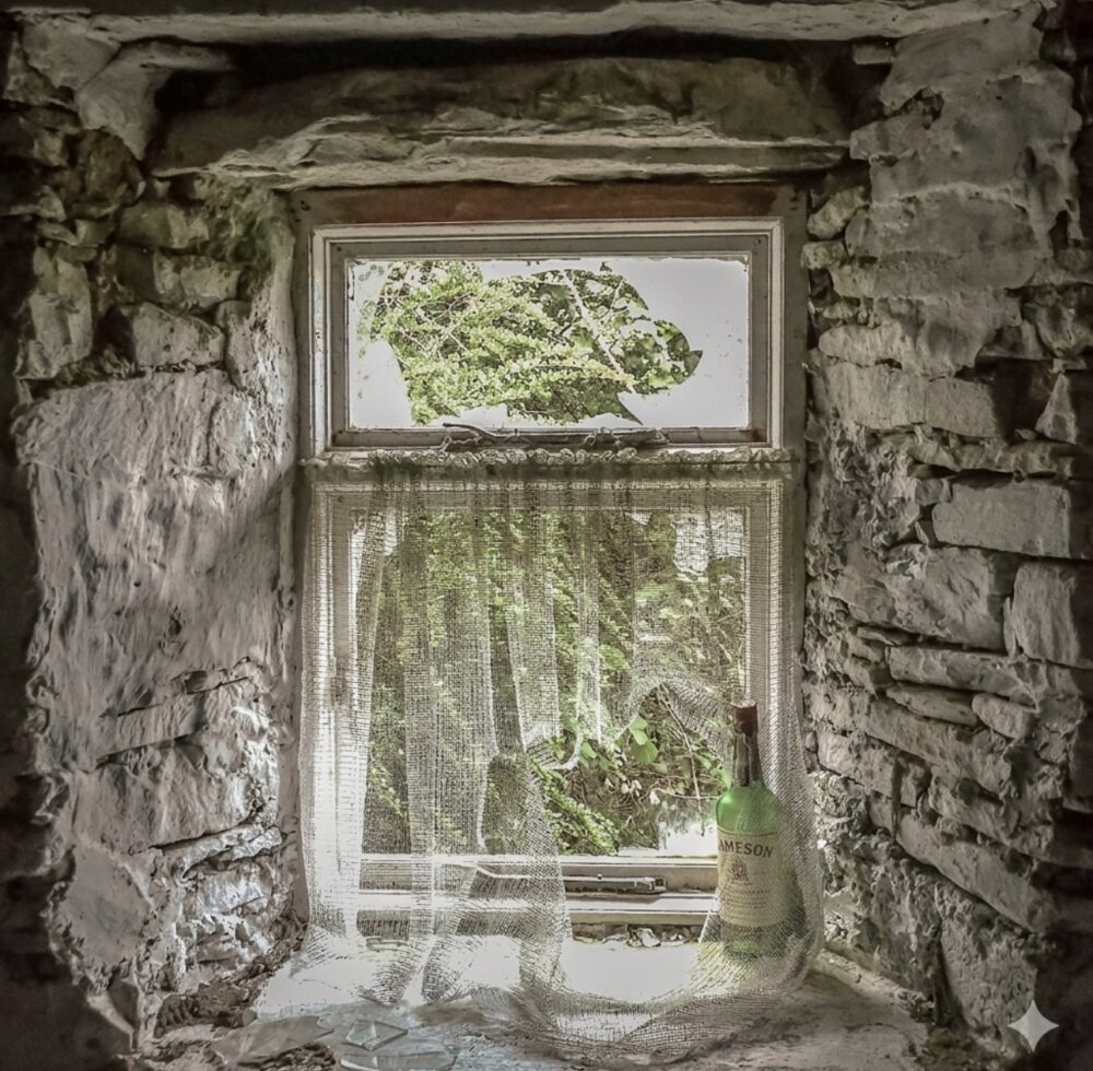 David Black "Maude's House"