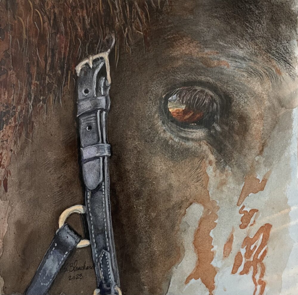 "Eye On You"