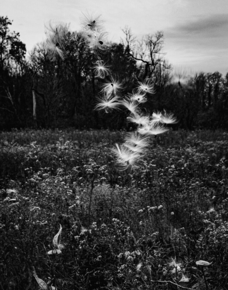 Fred Blau "Beginning the Journey"