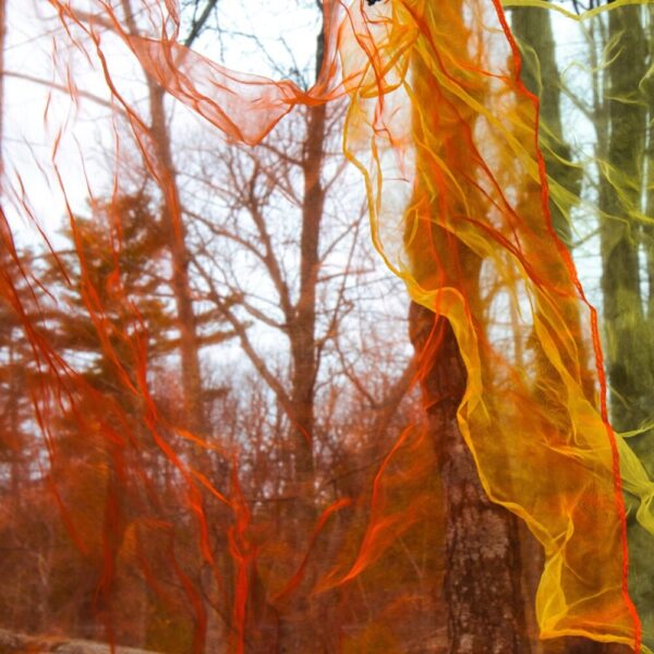 "Through the Curtain"