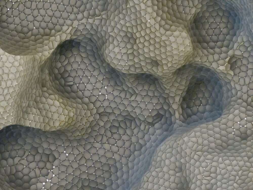 Bonnie Jaffe "Honeycomb"