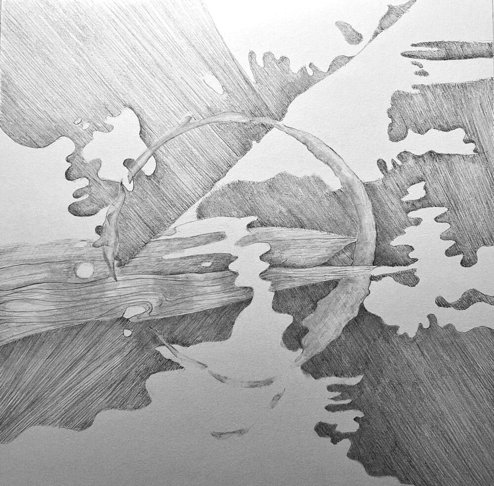 Bernadette Pace "River Worlds"