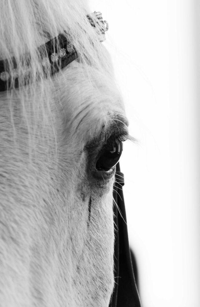 Alyce Croasdale "Davy"