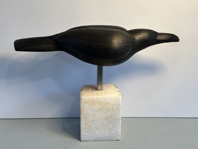 Jeff Fischer "Antonio"