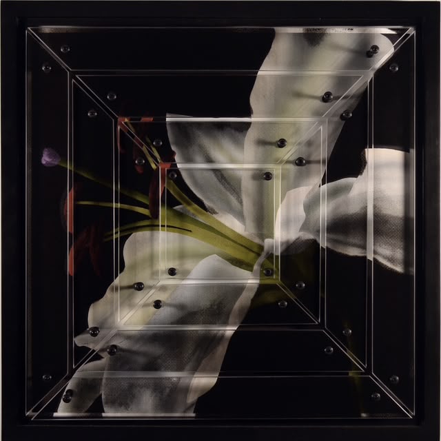 James Flanagan "Lily #3"
