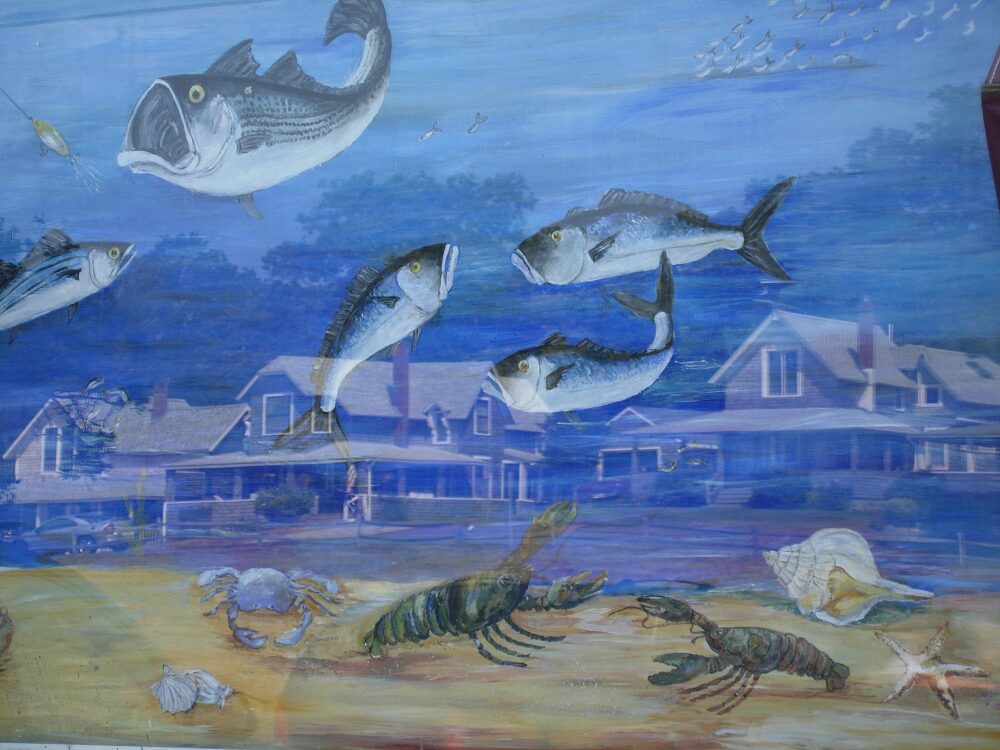 Ruth Hauzinger "Silly Fish"
