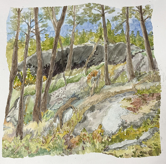 Diane Heilig "Forest Scape in Sweden"