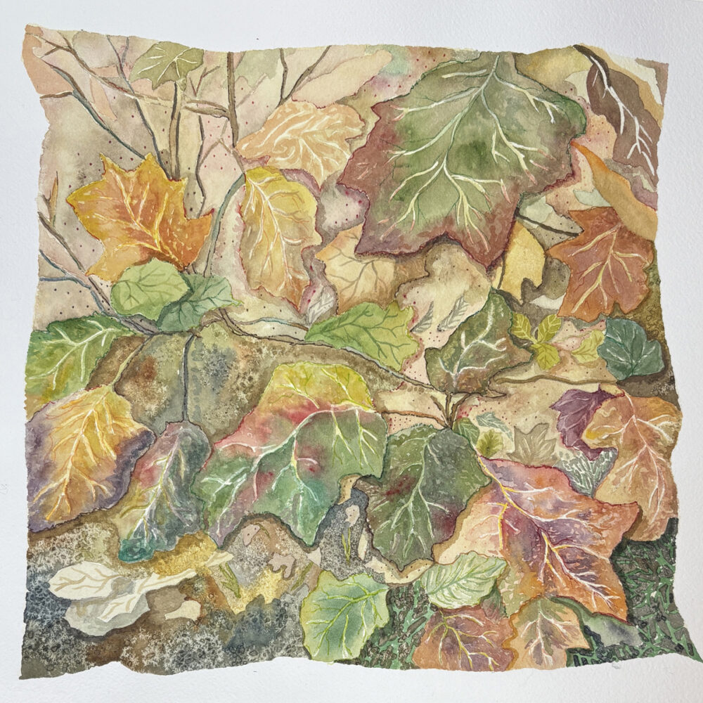 "Oak Leaf Hydrangea Abstract"