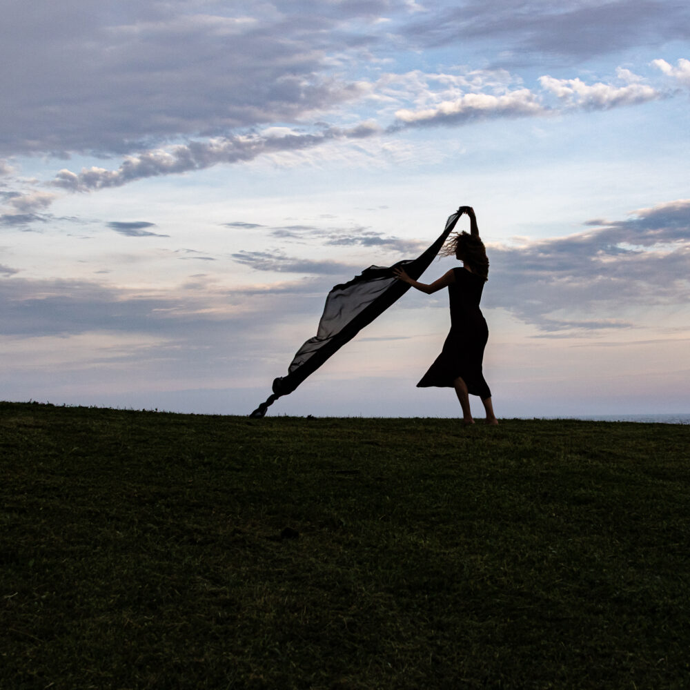 Eric Hovermale "Brenton Point Silhouette, Too"