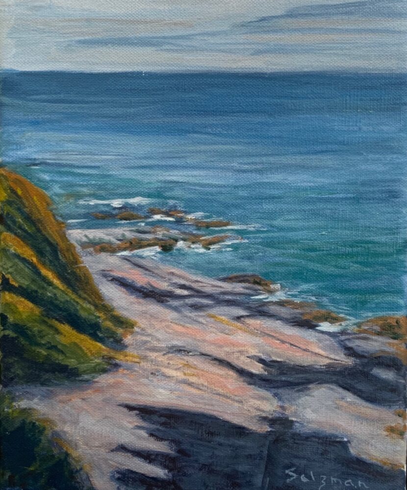 Rick Salzman "Beavertail View"
