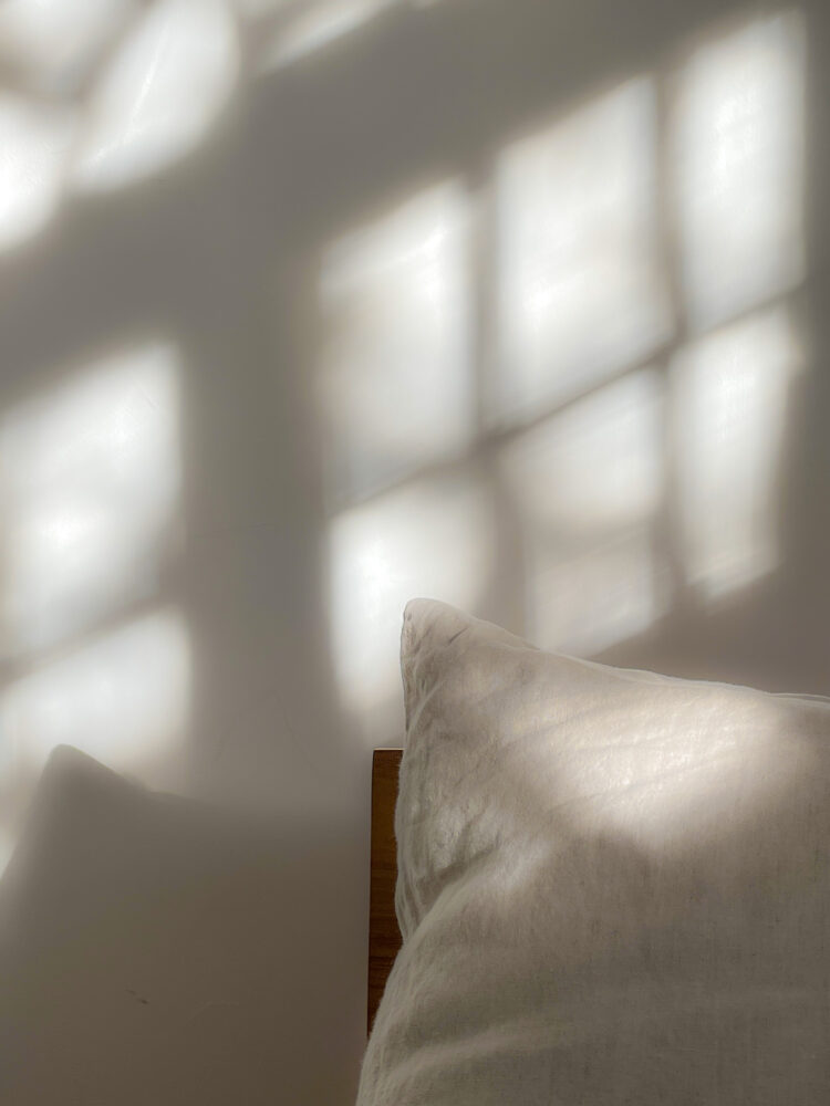 Bridget Jourgensen "Pillow"