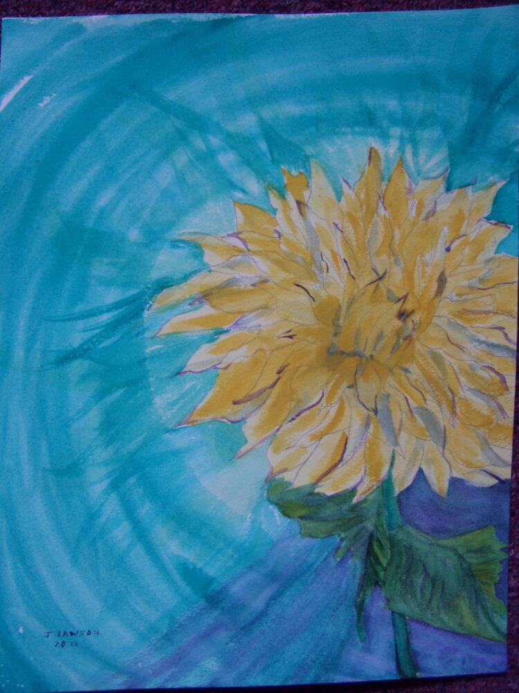 Jeannine Lawson "Giant Dahlia"