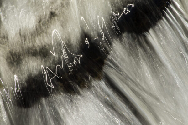 Janet MacCausland "Winter Glyphs"