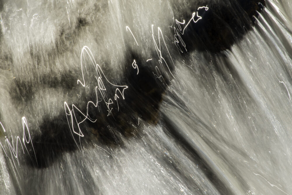 Janet MacCausland "Winter Glyphs"