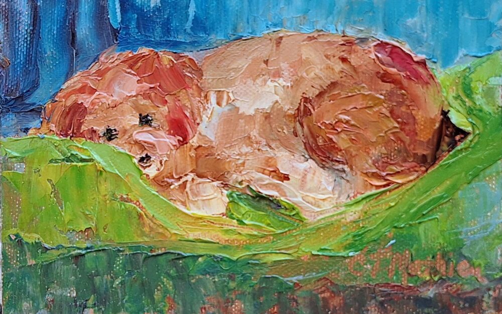 Christine Mathieu "Napping Dog"