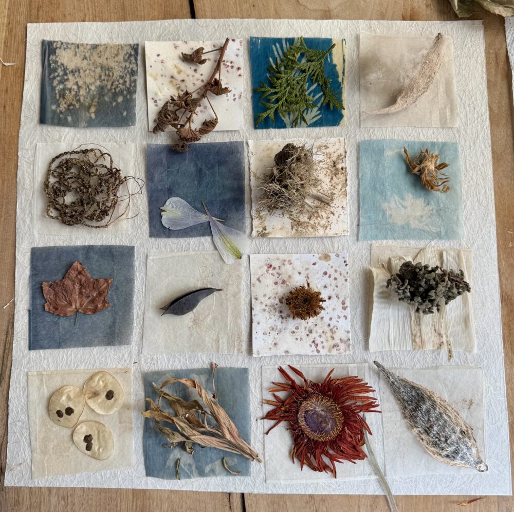 "Foraged Fibers"