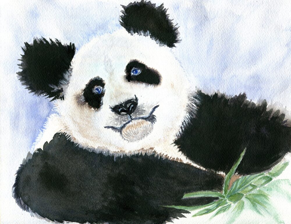 Leslie Morrissey "Panda Blue"