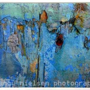 Nancy Nielsen "Aging with Beauty"