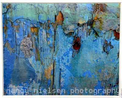 Nancy Nielsen "Aging with Beauty"