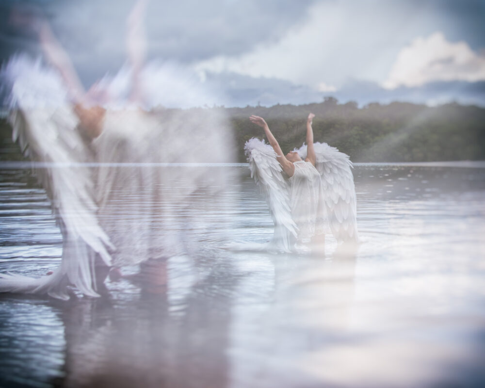 John Pitocco "Swan Lake Dreams" - HONORABLE MENTION