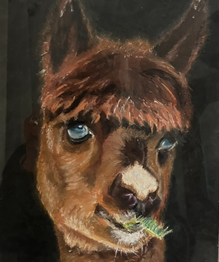 Sheila Ryan "So Coy"