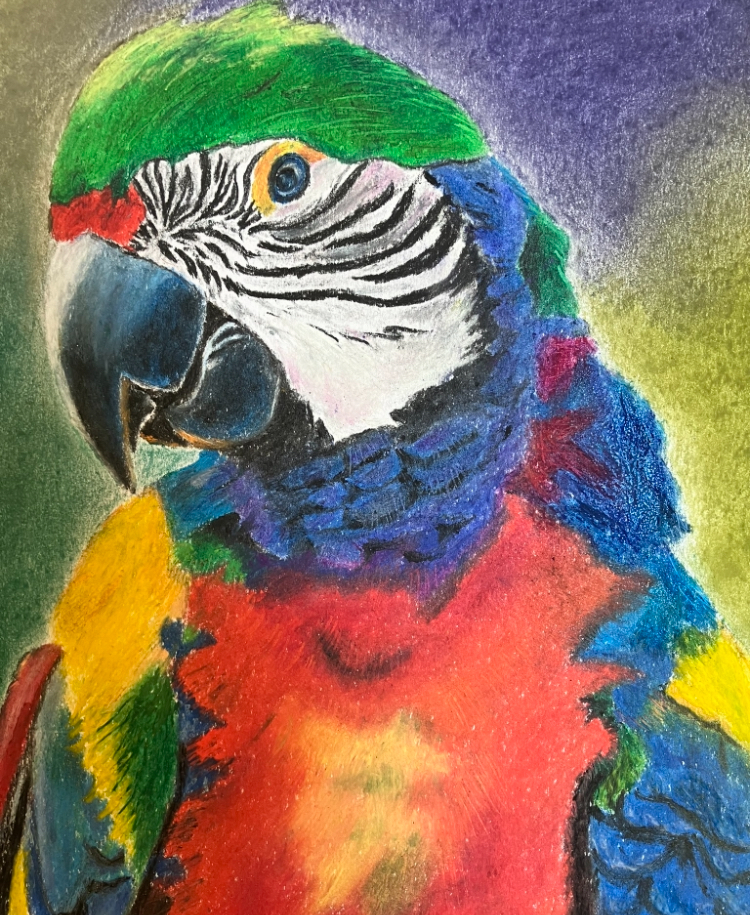 Sheila Ryan "Too Flashy?"