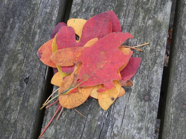 Bradford Sherman "Sassy"