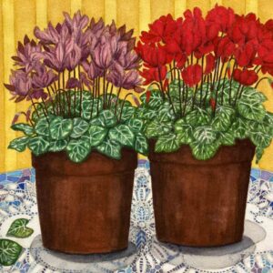 Mariko Toyama "Cyclamen and Lace"