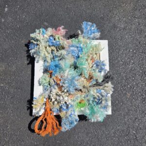 Christopher Vasconcelos "Contained Chaos"