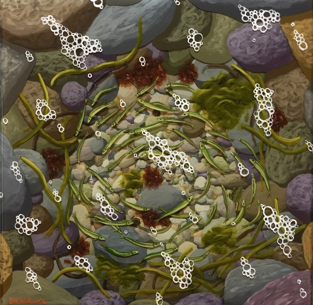 Nick Williams "Tide Pool #3"