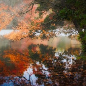 Thomas Wojick "Reflection"