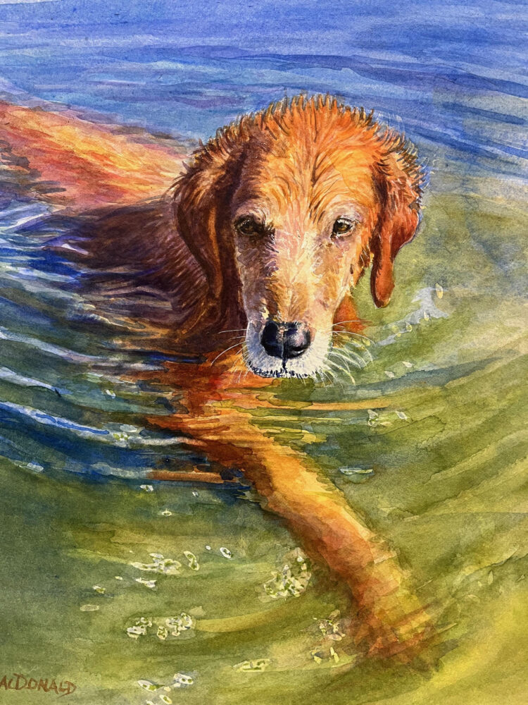 Betsey MacDonald "Angling To Shore"